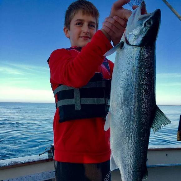 Meet your Posher, Logan - Picture 1 of 1